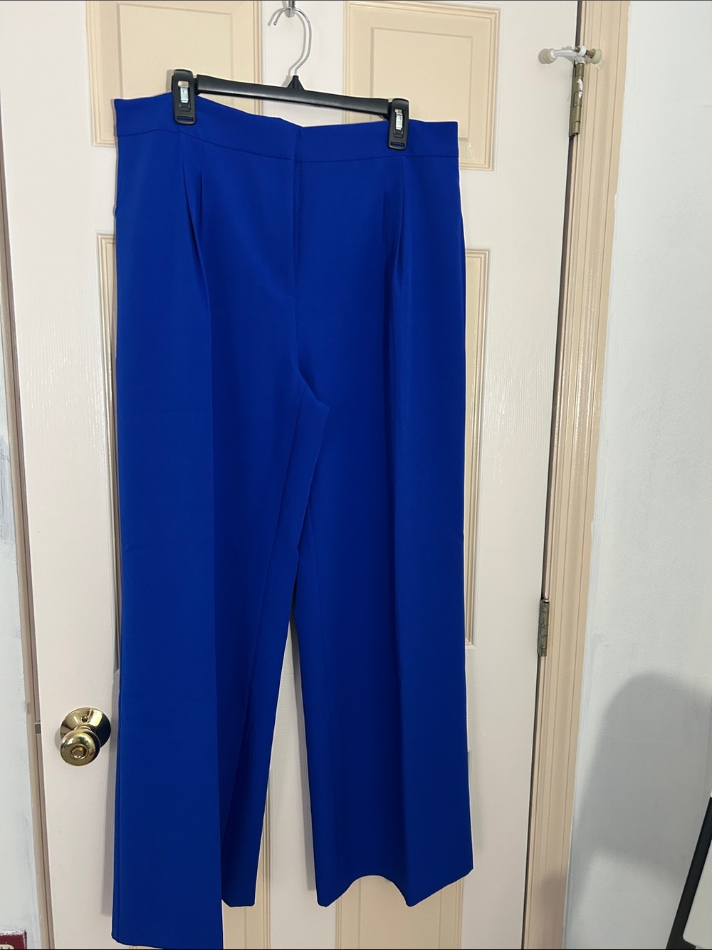 High-Rise Wide-Leg Pants in Vibrant Blue